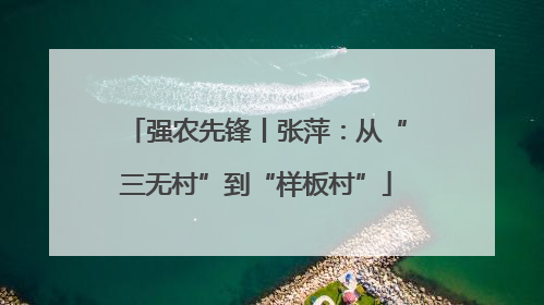 强农先锋丨张萍：从“三无村”到“样板村”